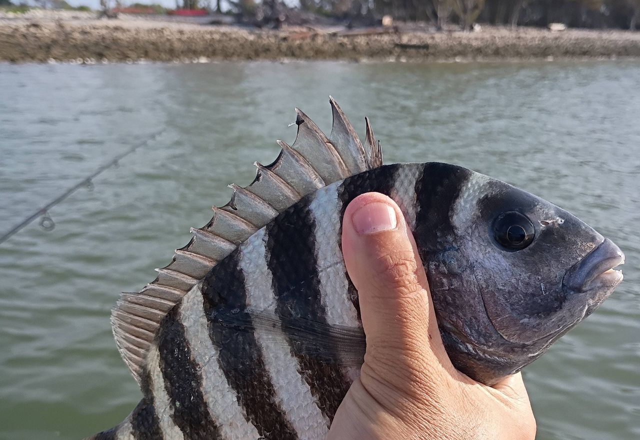 4-Hour Charter Trip — Tops Charters