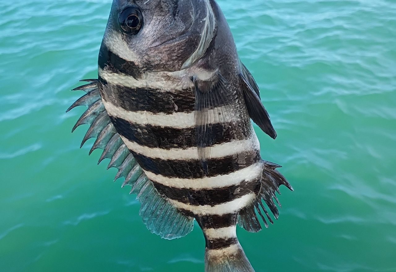 8-Hour Charter Trip — Tops Charters