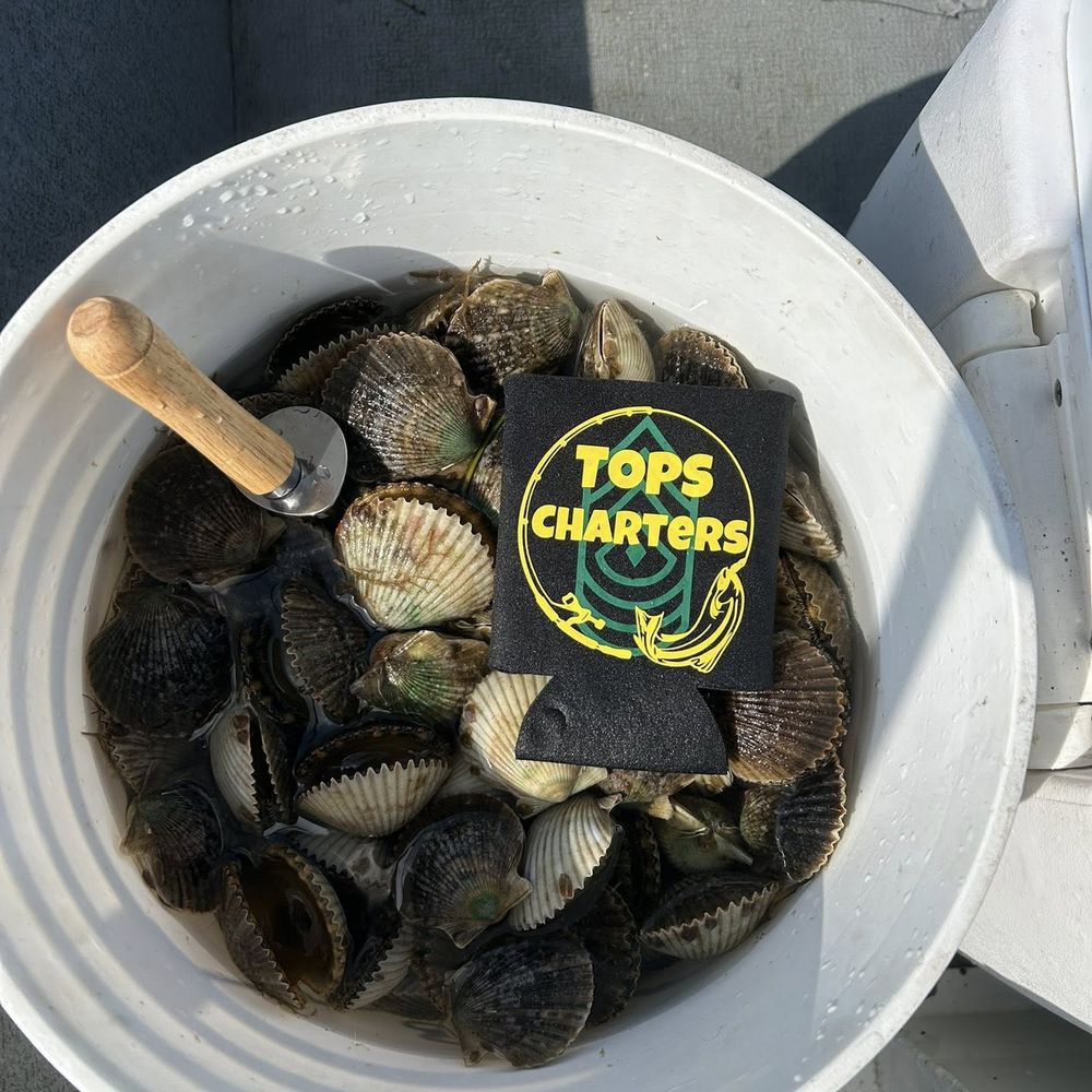 Crystal River fishing with Tops Charters