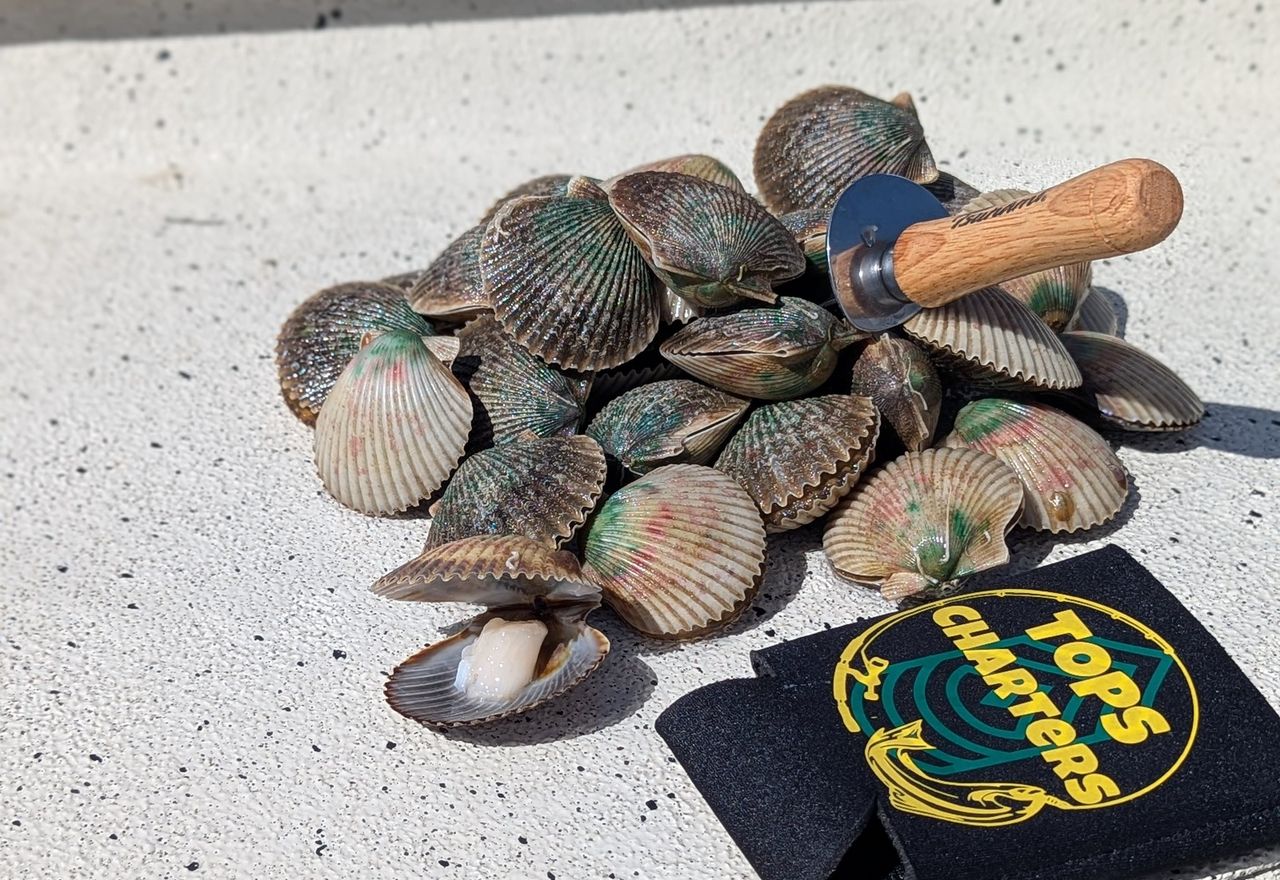 Scallop Trip — Tops Charters